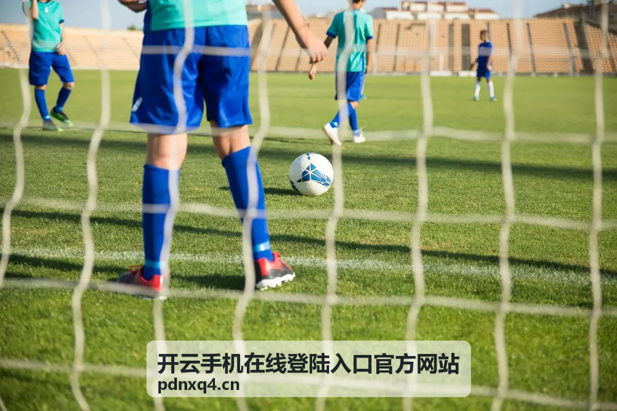 开云手机在线登陆入口安全环境确认场景
